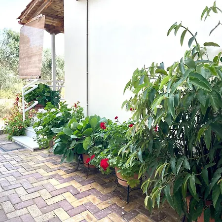 My Green Villa Zacharo Exterior photo