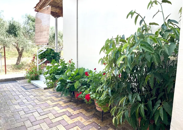 My Green Villa