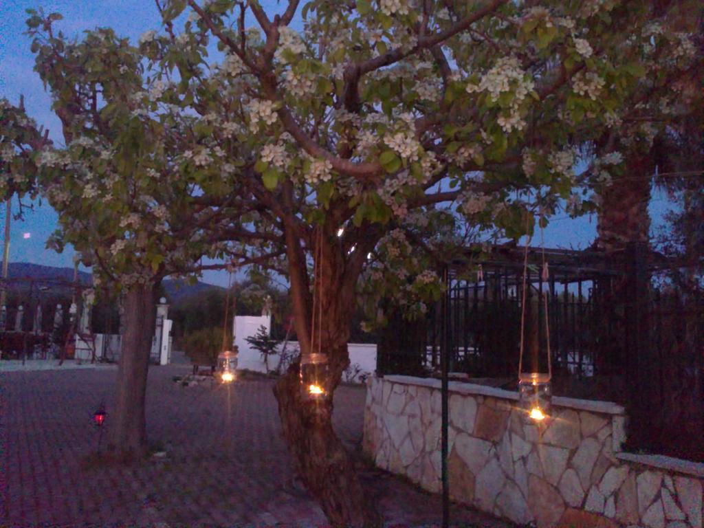 My Green Villa * Zacharo