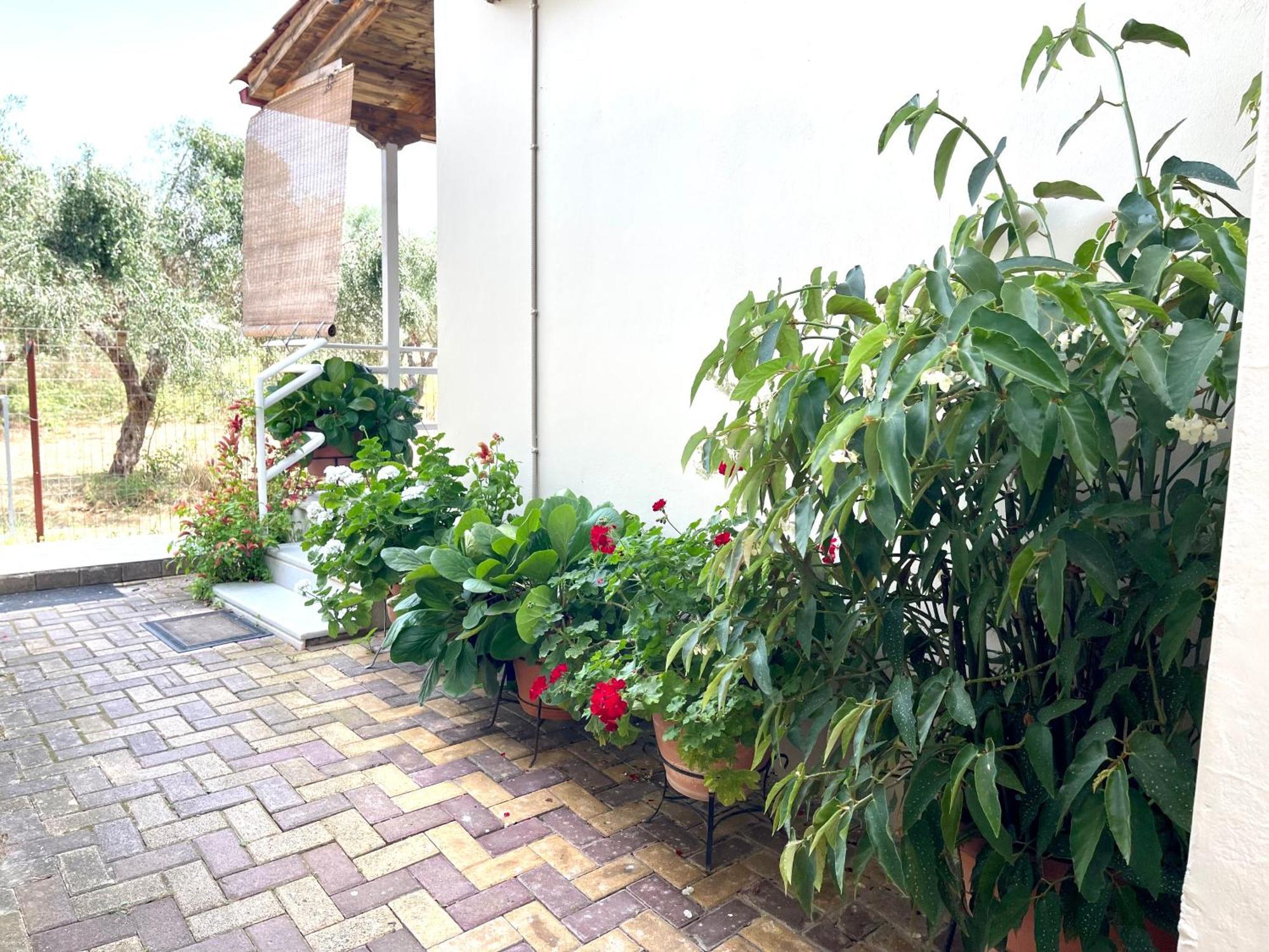 My Green Villa