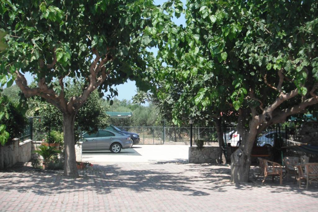 My Green Villa Apartment Zacharo